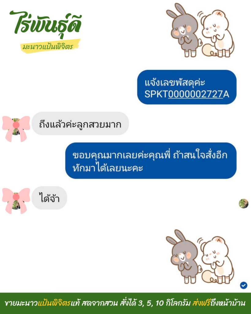 มะนาวแป้นพิจิตร, ไร่พันธ์ุดี