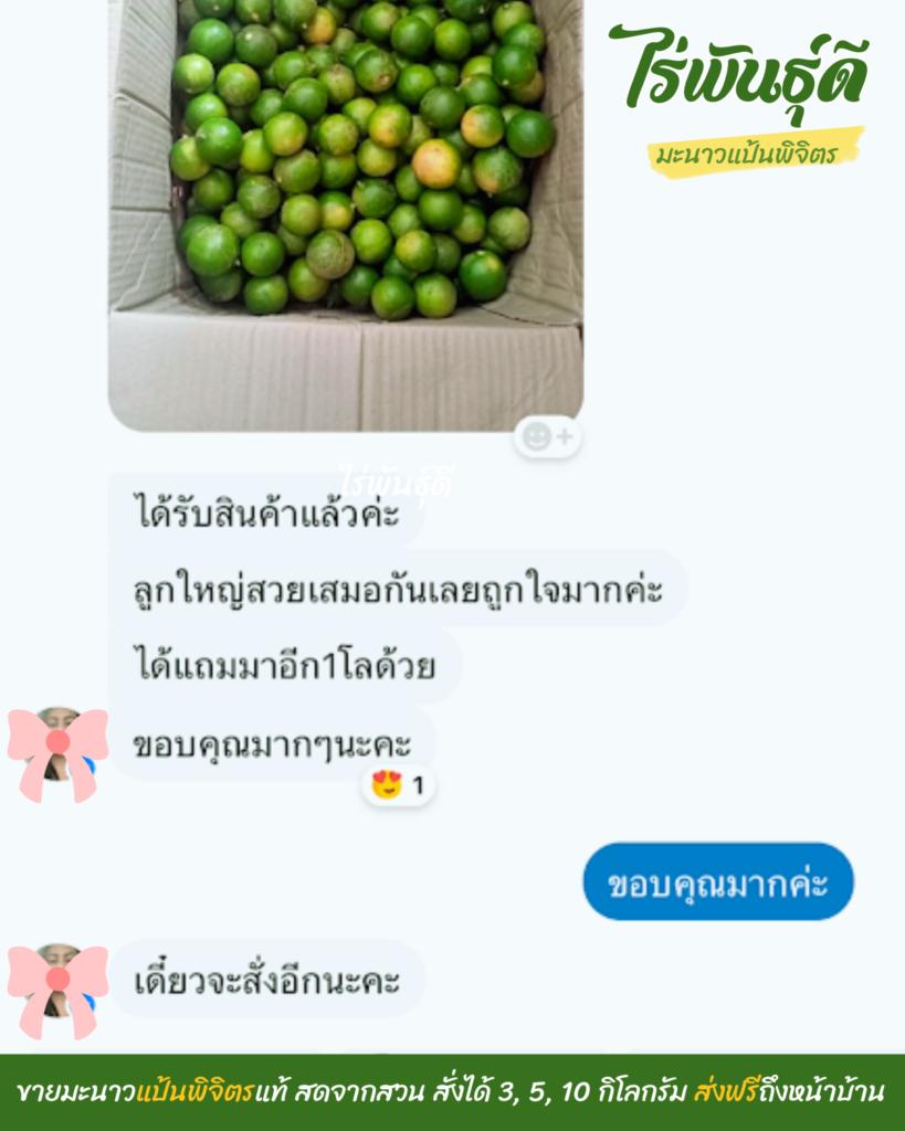 มะนาวแป้นพิจิตร, ไร่พันธ์ุดี