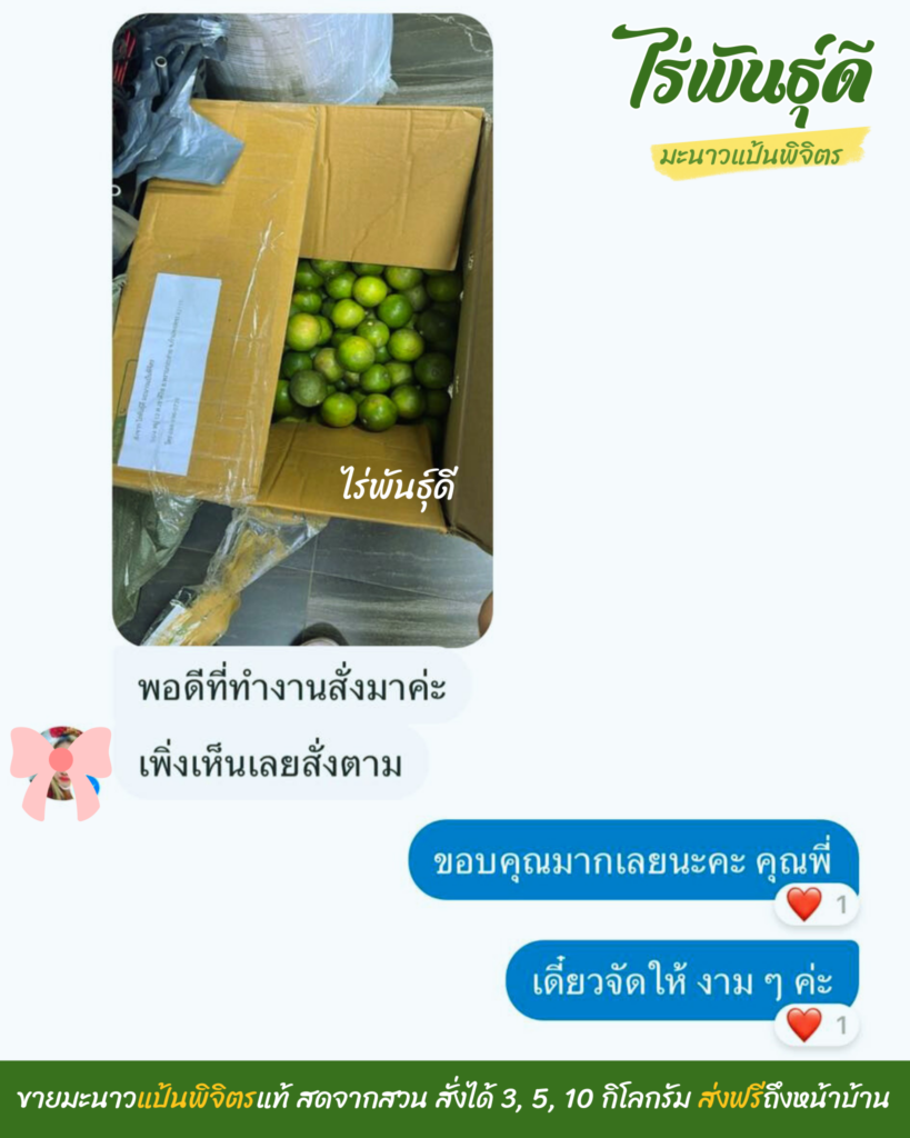 มะนาวแป้นพิจิตร, ไร่พันธ์ุดี