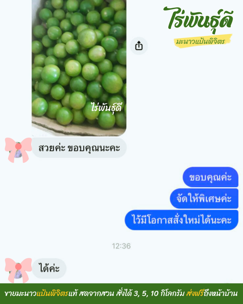 มะนาวแป้นพิจิตร, ไร่พันธ์ุดี