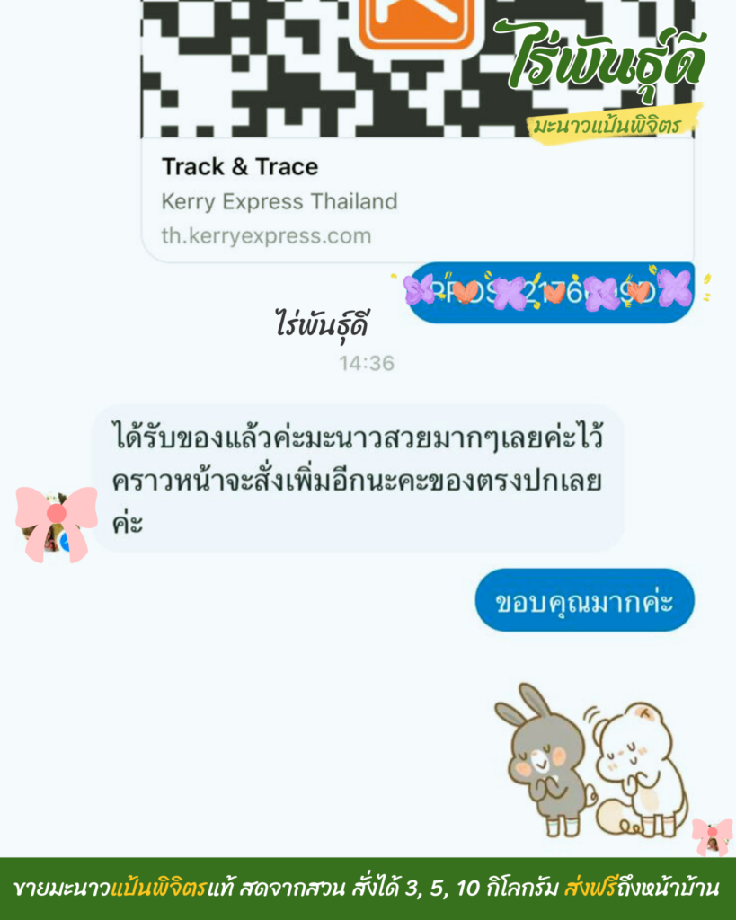 มะนาวแป้นพิจิตร, ไร่พันธ์ุดี