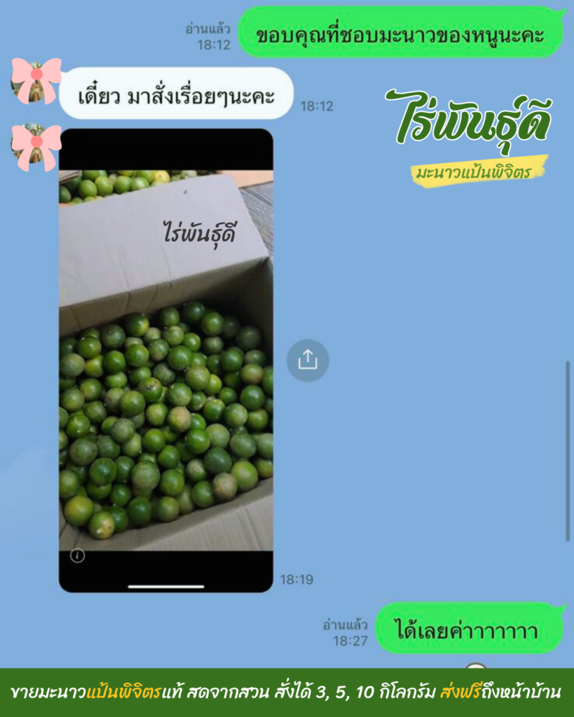 มะนาวแป้นพิจิตร, ไร่พันธ์ุดี