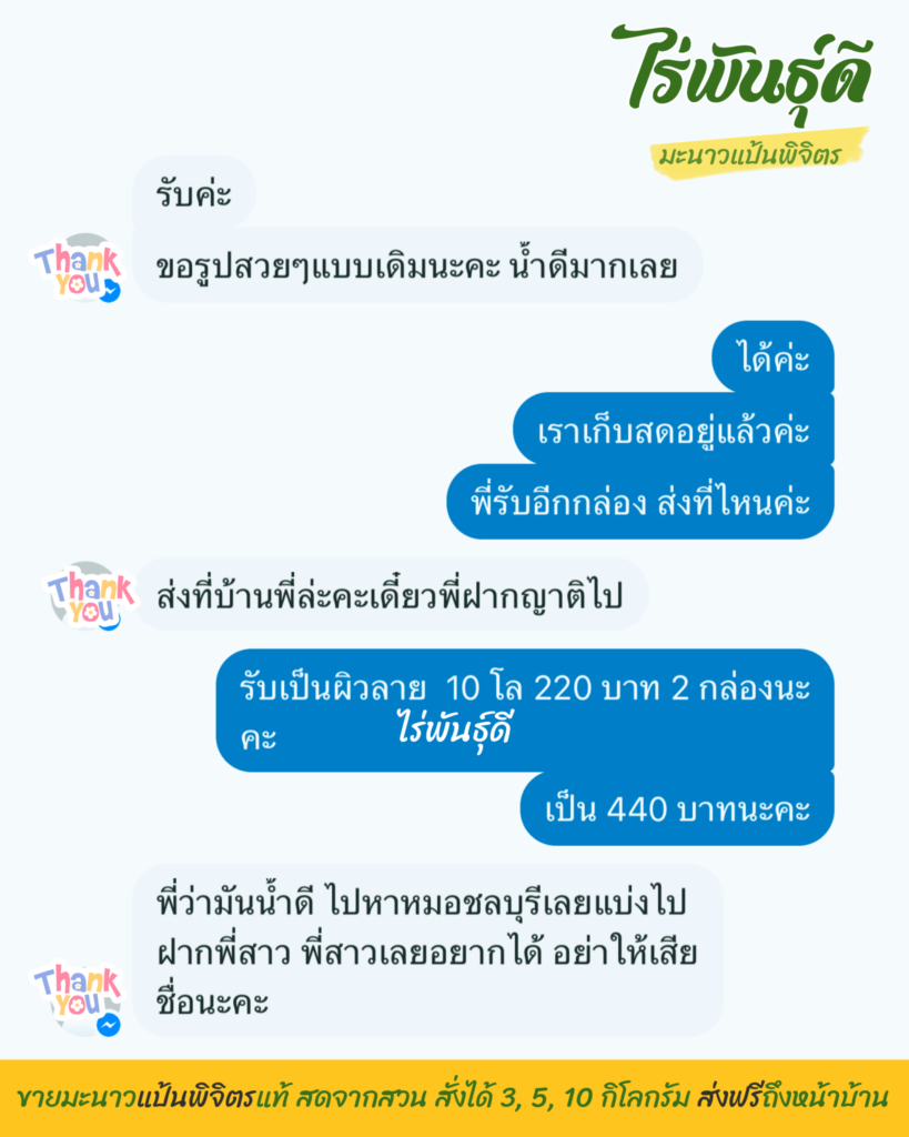 มะนาวแป้นพิจิตร, ไร่พันธ์ุดี