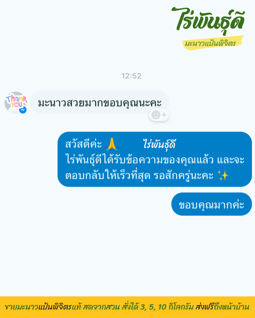 มะนาวแป้นพิจิตร, ไร่พันธ์ุดี