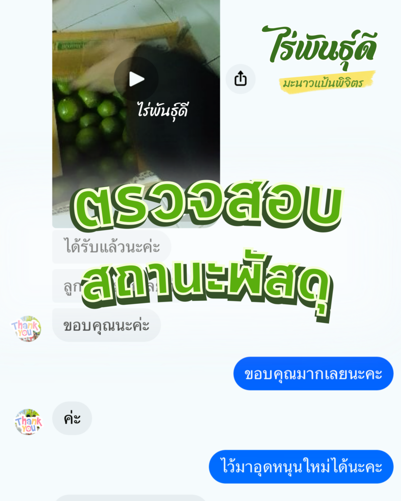 มะนาวแป้นพิจิตร, ไร่พันธ์ุดี